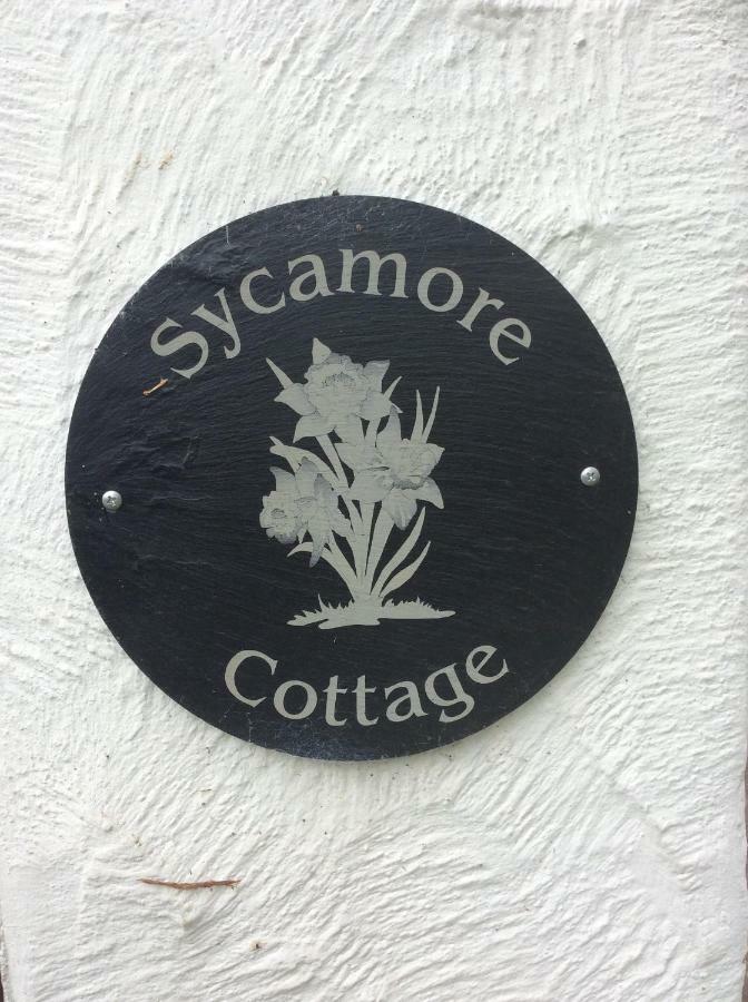 Sycamore Cottage Конви Экстерьер фото
